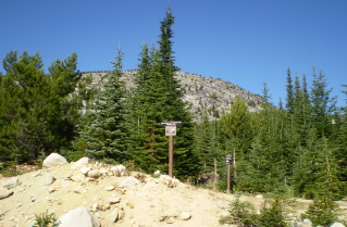 Start of the trail to Little White Mtn 2009-09.